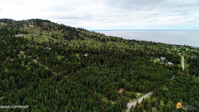 T11N Potter Heights Dr, Anchorage, AK 99516