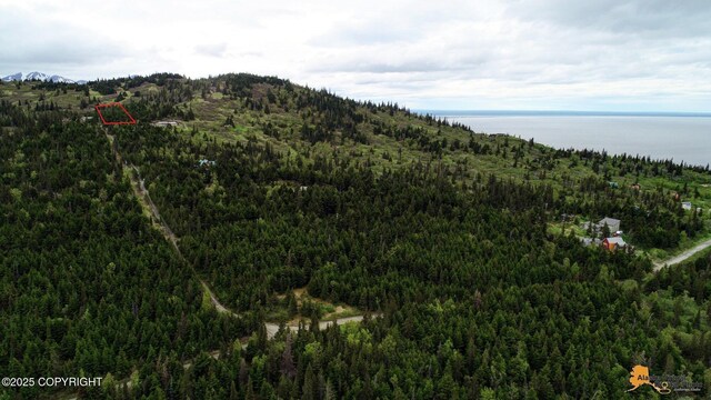 T11N Potter Heights Dr, Anchorage, AK 99516
