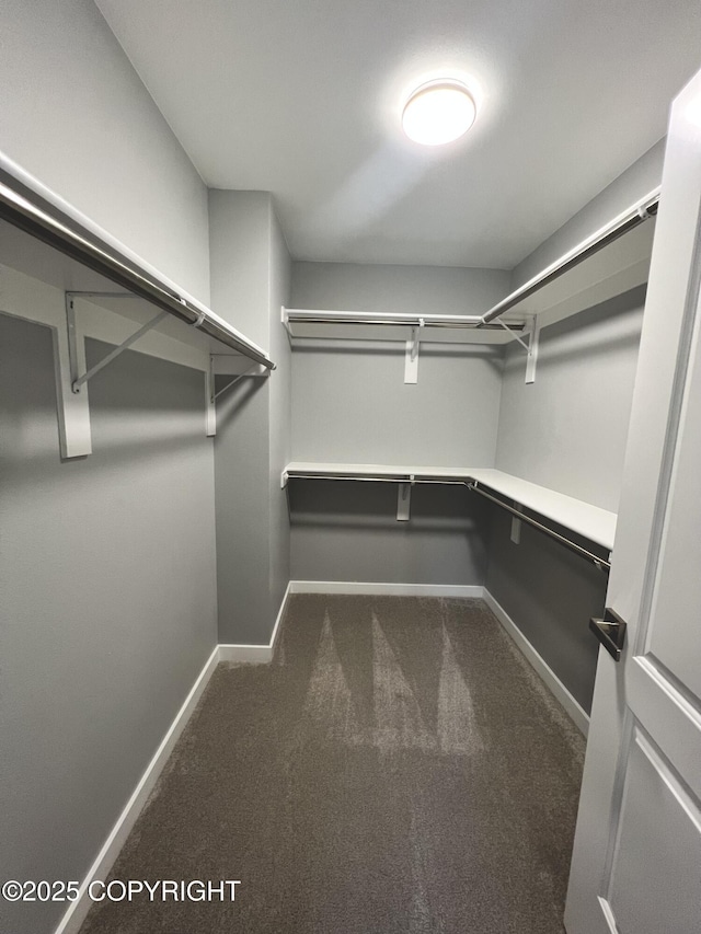 8201 W Teal Cir, Wasilla, AK 99623 - spacious closet featuring dark colored carpet