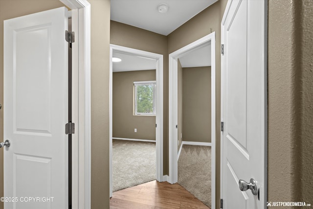 7616 Boundary Ave, Anchorage, AK 99504 - hallway featuring wood finished floors, baseboards, and carpet