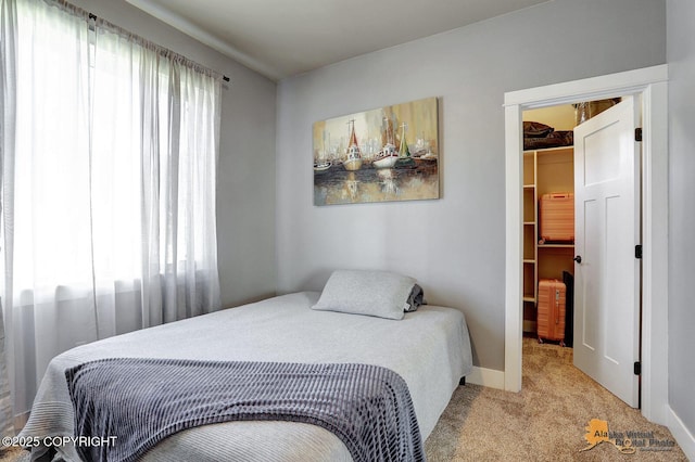 5844 E Fetlock Dr, Wasilla, AK 99654 - carpeted bedroom with a spacious closet, baseboards, and a closet