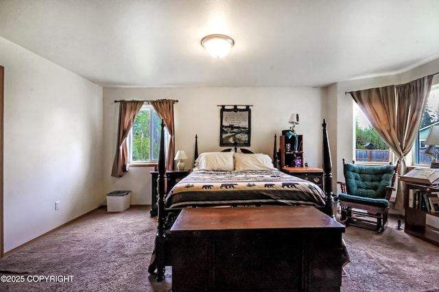 3535 S Robert Lile Cir, Palmer, AK 99645 - bedroom with carpet