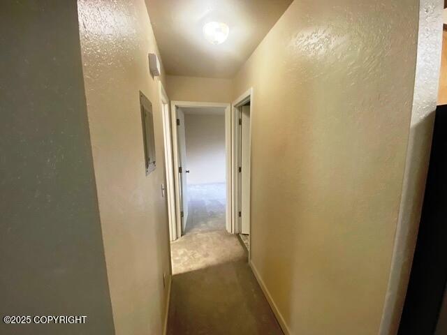 3301 Pussywillow St, Anchorage, AK 99504 - corridor featuring carpet flooring