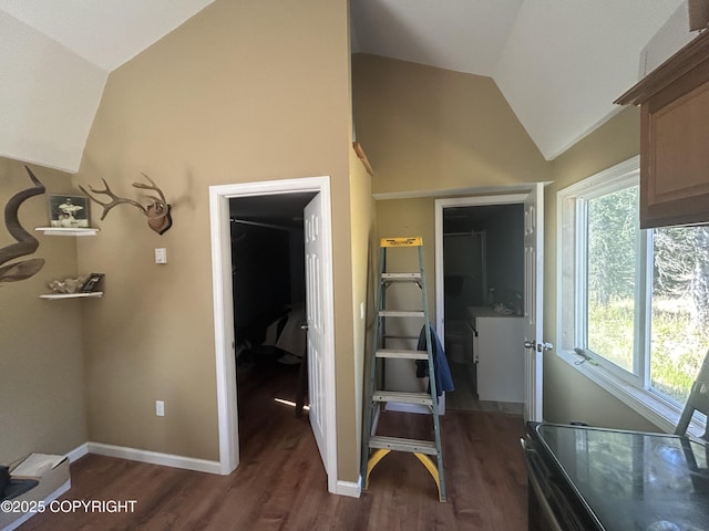 17185 Lunchbox Dr, Ninilchik, AK 99639 - bedroom with dark wood finished floors, baseboards, and high vaulted ceiling