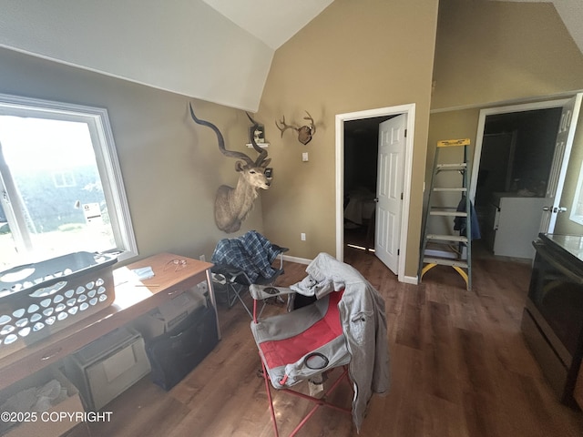 17185 Lunchbox Dr, Ninilchik, AK 99639 - bedroom featuring vaulted ceiling and wood finished floors