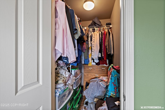 1503 N Heather Meadows Loop Unit 54, Anchorage, AK 99507 - view of spacious closet
