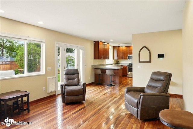 10410 Constitution St, Anchorage, AK 99515 - living area featuring light wood-style flooring, recessed lighting, and baseboards