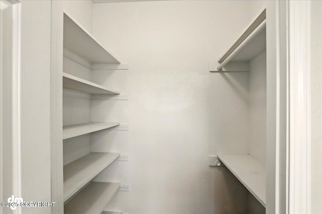 10410 Constitution St, Anchorage, AK 99515 - view of spacious closet