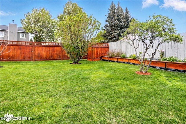 10410 Constitution St, Anchorage, AK 99515 - view of yard