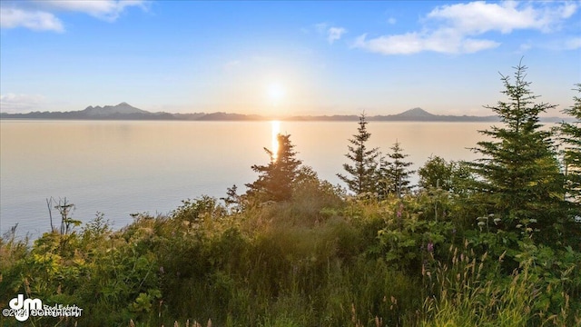 30035 Sterling Hwy, Anchor Point, AK 99556 - water view with a mountainous background