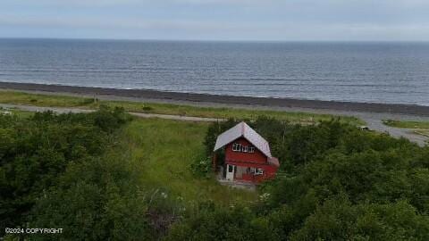 30035 Sterling Hwy, Anchor Point, AK 99556 - water view
