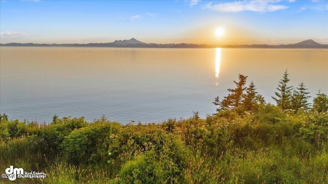 30035 Sterling Hwy, Anchor Point, AK 99556 - water view with mountains