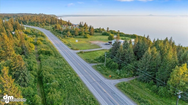 30035 Sterling Hwy, Anchor Point, AK 99556 - aerial view of a large body of water