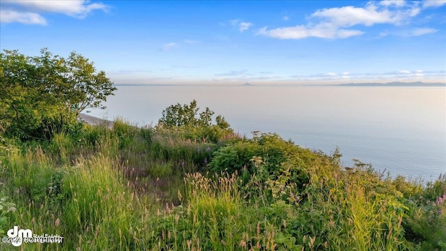 30035 Sterling Hwy, Anchor Point, AK 99556 - water view