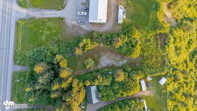 30035 Sterling Hwy, Anchor Point, AK 99556 - view of property location