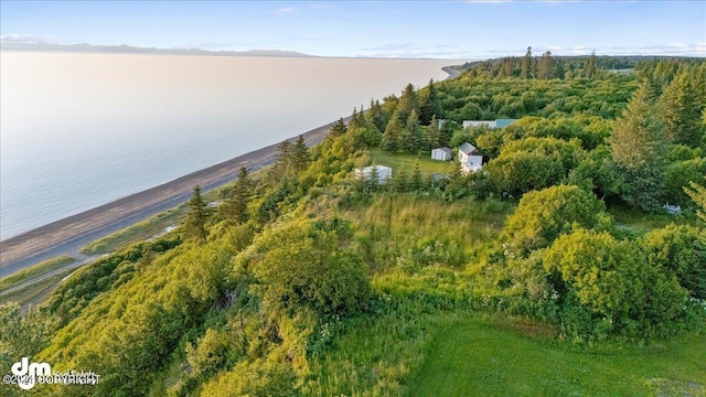 30035 Sterling Hwy, Anchor Point, AK 99556 - view of property location with a large body of water