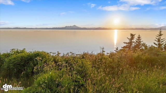 30035 Sterling Hwy, Anchor Point, AK 99556 - water view featuring a mountain backdrop