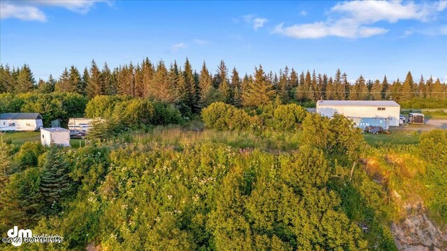30035 Sterling Hwy, Anchor Point, AK 99556 - aerial overview of property's location featuring a heavily wooded area