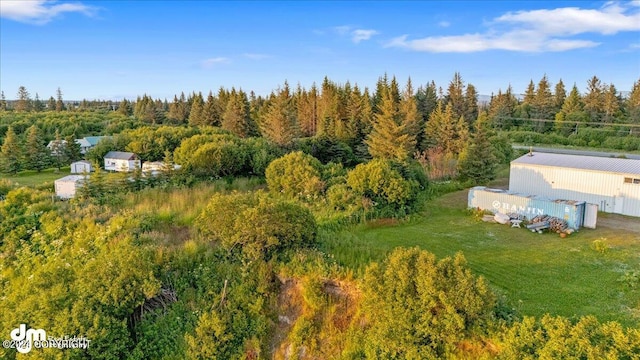 30035 Sterling Hwy, Anchor Point, AK 99556 - aerial overview of property's location featuring a forest