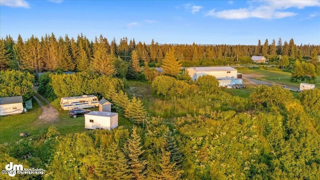 30035 Sterling Hwy, Anchor Point, AK 99556 - view of property location featuring a forest
