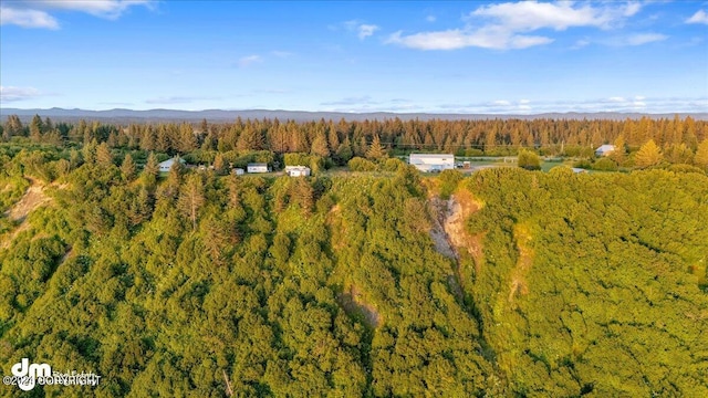 30035 Sterling Hwy, Anchor Point, AK 99556 - aerial view of property and surrounding area with a forest