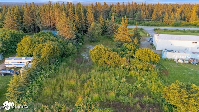 30035 Sterling Hwy, Anchor Point, AK 99556 - drone / aerial view of a forest