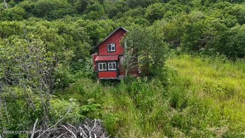 30035 Sterling Hwy, Anchor Point, AK 99556 - view of subject property featuring a heavily wooded area