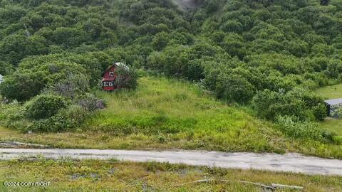 30035 Sterling Hwy, Anchor Point, AK 99556 - drone / aerial view