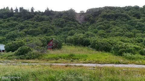 30035 Sterling Hwy, Anchor Point, AK 99556 - mountain view featuring a forest