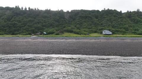 30035 Sterling Hwy, Anchor Point, AK 99556 - view of street featuring a forest view