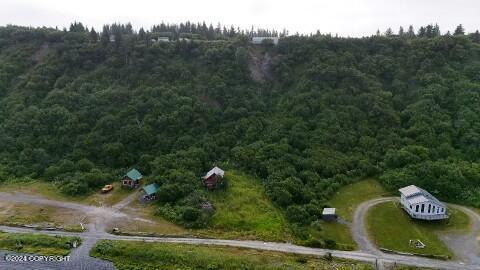 30035 Sterling Hwy, Anchor Point, AK 99556 - bird's eye view of a forest