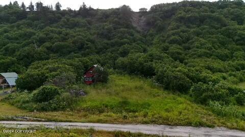 30035 Sterling Hwy, Anchor Point, AK 99556 - bird's eye view of a heavily wooded area