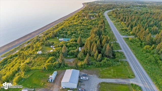 30035 Sterling Hwy, Anchor Point, AK 99556 - aerial overview of property's location with a heavily wooded area