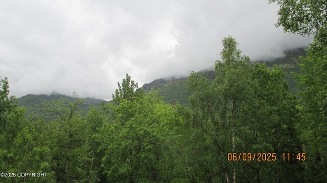 20638 Driftwood Bay Dr, Eagle River, AK 99577 - view of mountain backdrop with a forest