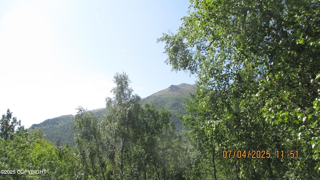 20638 Driftwood Bay Dr, Eagle River, AK 99577 - view of mountain backdrop