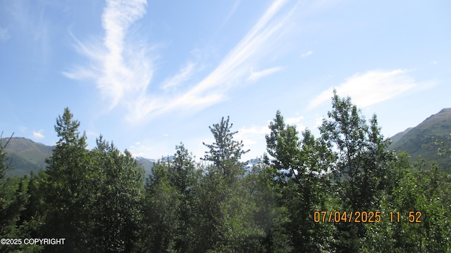 20638 Driftwood Bay Dr, Eagle River, AK 99577 - view of mountain backdrop