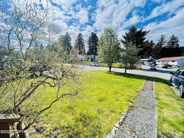 1310 Madsen Ave, Kodiak, AK 99615 - view of yard