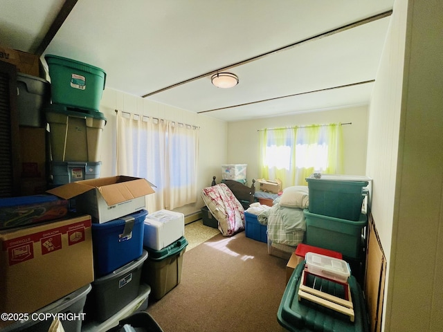 1310 Madsen Ave, Kodiak, AK 99615 - view of storage area