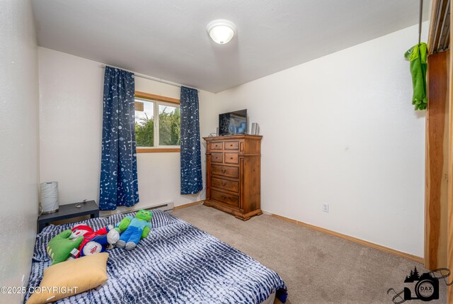 639 E Beaver Ave, Palmer, AK 99645 - carpeted bedroom with baseboards