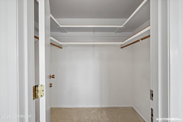 836 M St # 215, Anchorage, AK 99501 - walk in closet featuring carpet floors