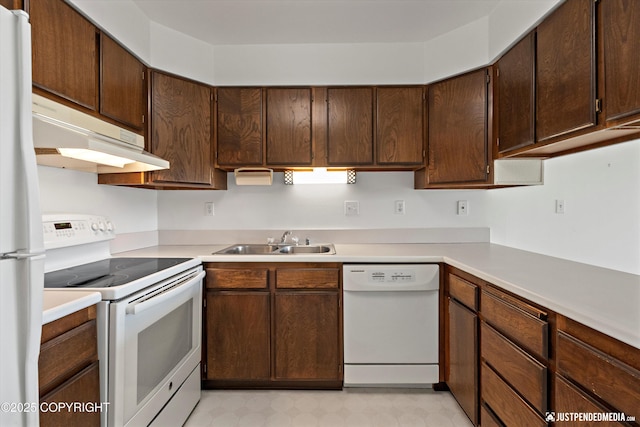 836 M St # 215, Anchorage, AK 99501 - kitchen with white appliances, a sink, under cabinet range hood, light countertops, and dark brown cabinets