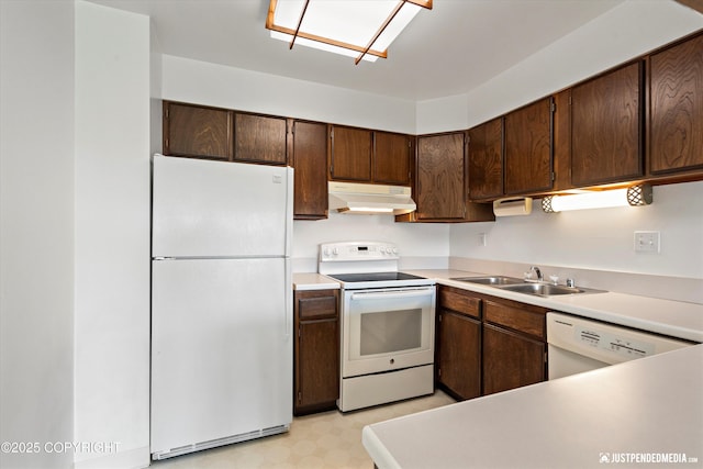 836 M St # 215, Anchorage, AK 99501 - kitchen with white appliances, a sink, under cabinet range hood, light countertops, and dark brown cabinetry