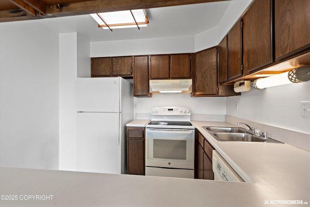 836 M St # 215, Anchorage, AK 99501 - kitchen with white appliances, under cabinet range hood, a sink, light countertops, and dark brown cabinetry