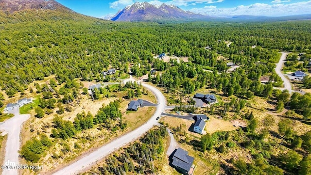7350 E Narnia Cir, Palmer, AK 99645 - aerial view of property's location with a heavily wooded area and a mountain backdrop