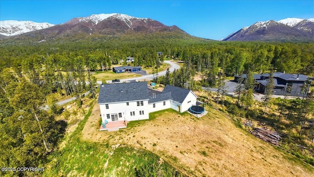 7350 E Narnia Cir, Palmer, AK 99645 - view from above of property featuring a mountain backdrop and a forest