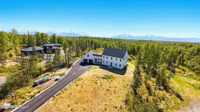 7350 E Narnia Cir, Palmer, AK 99645 - view from above of property featuring a heavily wooded area