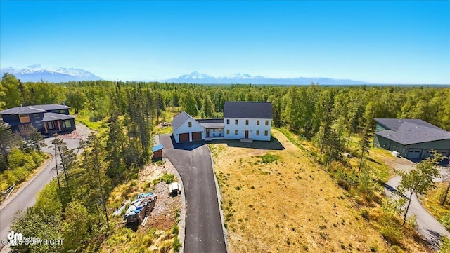 7350 E Narnia Cir, Palmer, AK 99645 - view of subject property featuring a heavily wooded area and a mountain backdrop