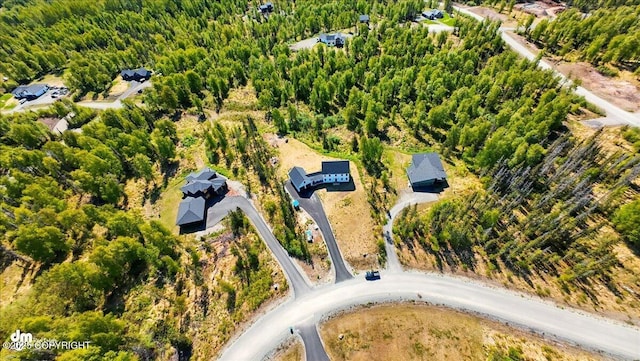 7350 E Narnia Cir, Palmer, AK 99645 - bird's eye view