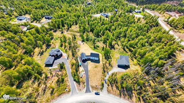 7350 E Narnia Cir, Palmer, AK 99645 - aerial view