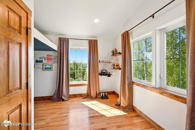7350 E Narnia Cir, Palmer, AK 99645 - doorway to outside with healthy amount of natural light, baseboards, light wood-style flooring, vaulted ceiling, and recessed lighting